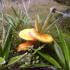 2012-03-11_12.19.49